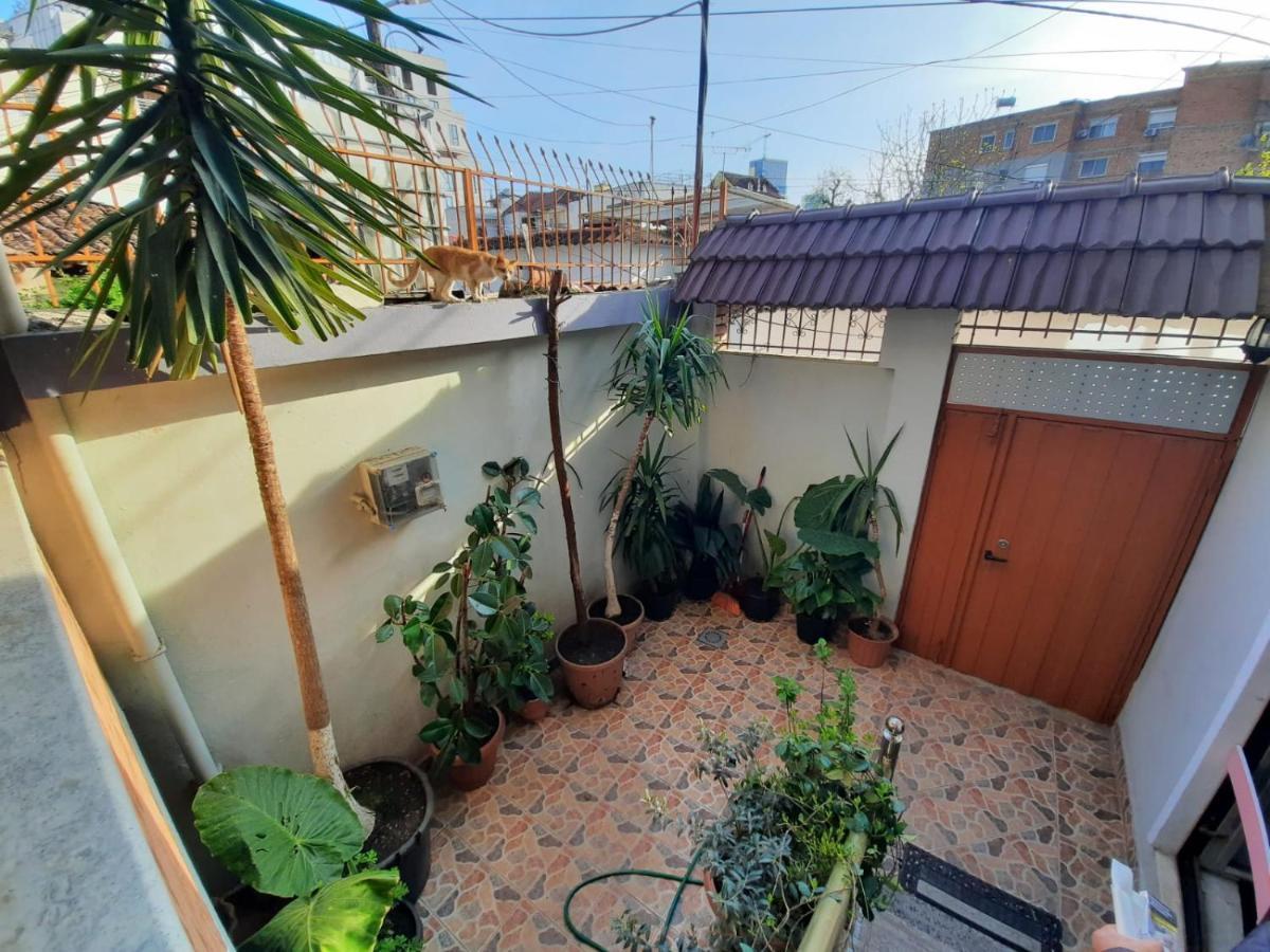 טיראנה Villa 53 מראה חיצוני תמונה
