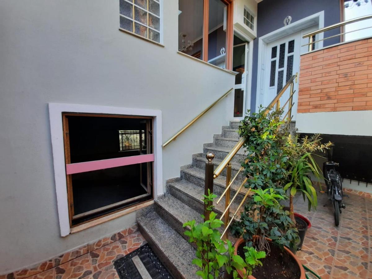 טיראנה Villa 53 מראה חיצוני תמונה